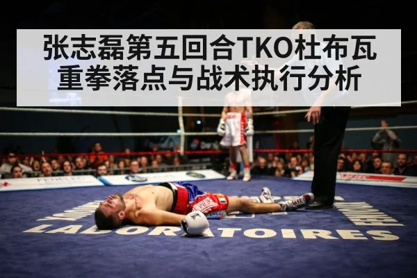 boxing knockout